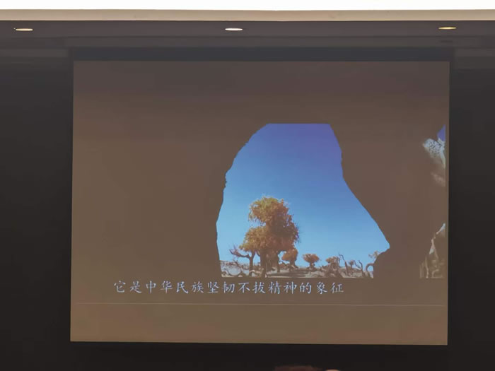 綿陽(yáng)中旅行假日旅行社舉行胡楊林、南疆專(zhuān)列推薦會(huì )